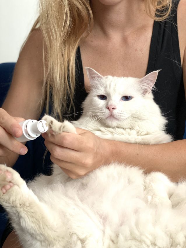 best cat nail grinder