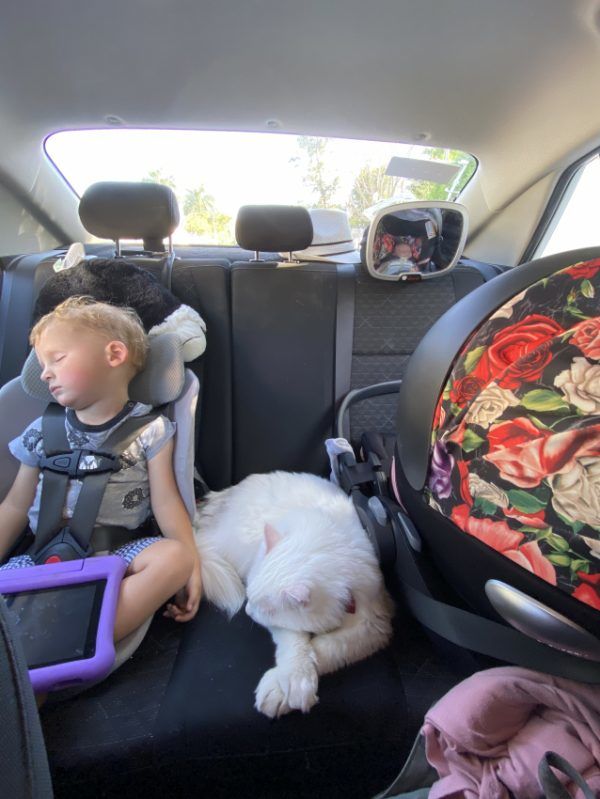 WayB Pico Foldable Travel Car Seat Review